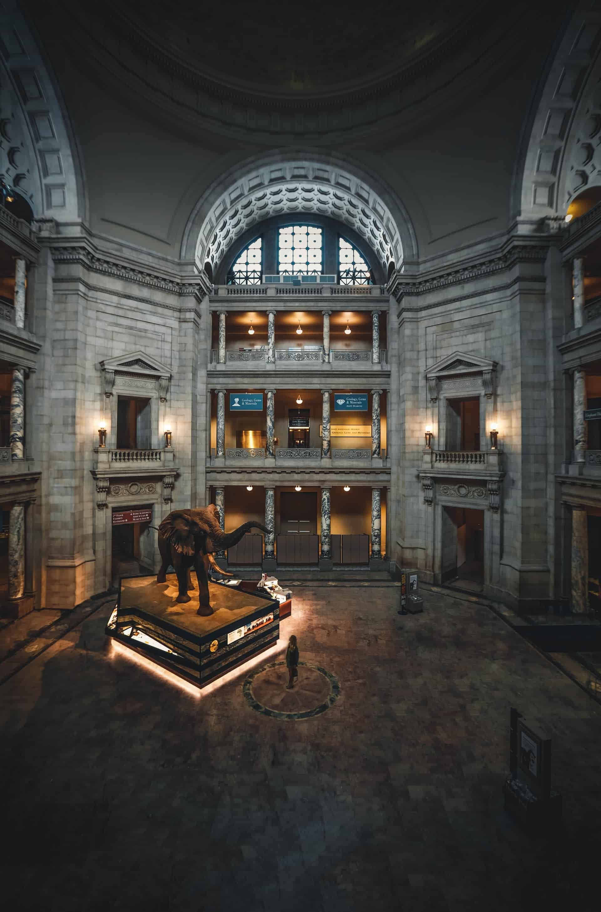 A overlook of a museum room with an elefant