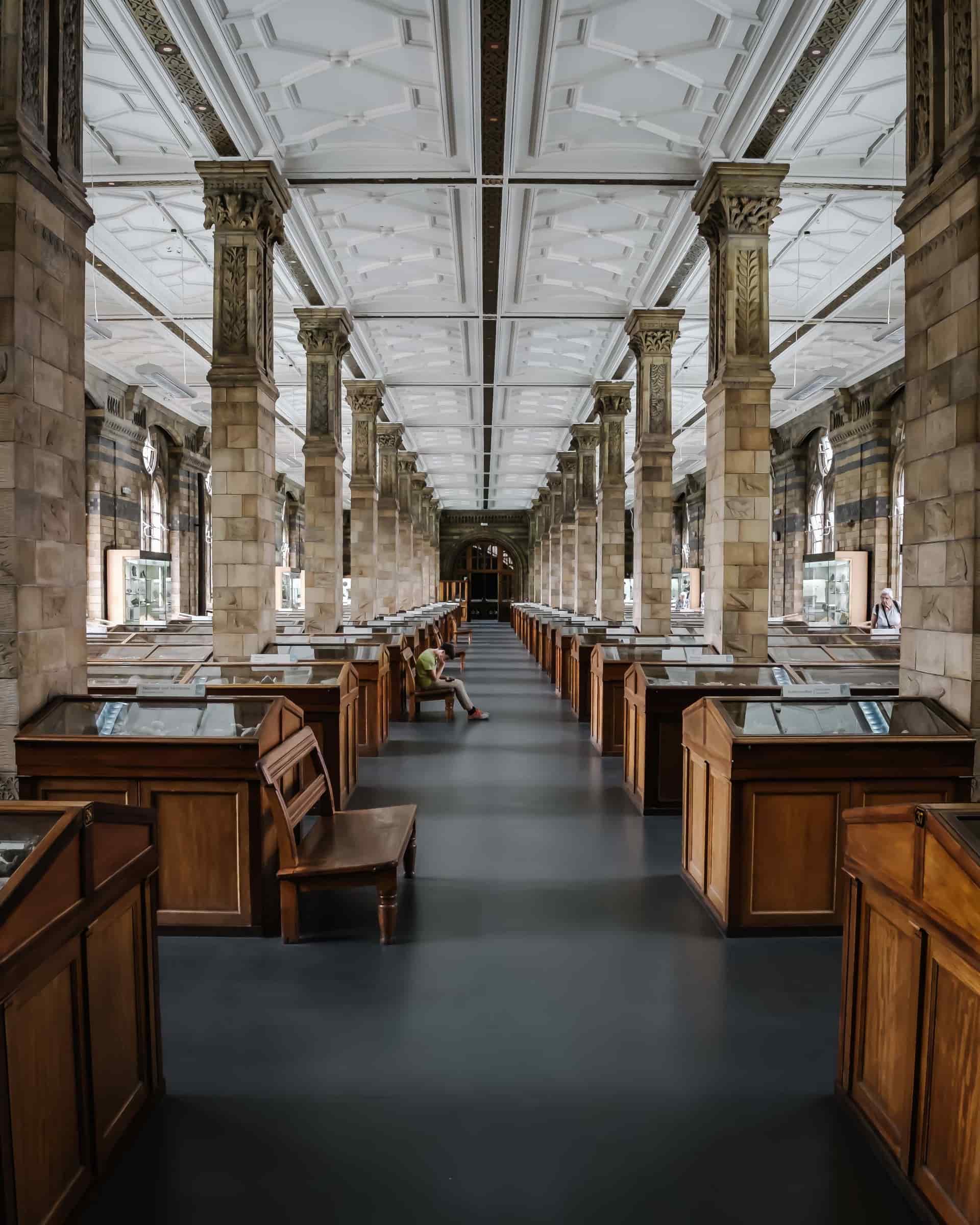 Large room with multiple floor-to-ceiling posts, with oak display cabinets placed beside each post.